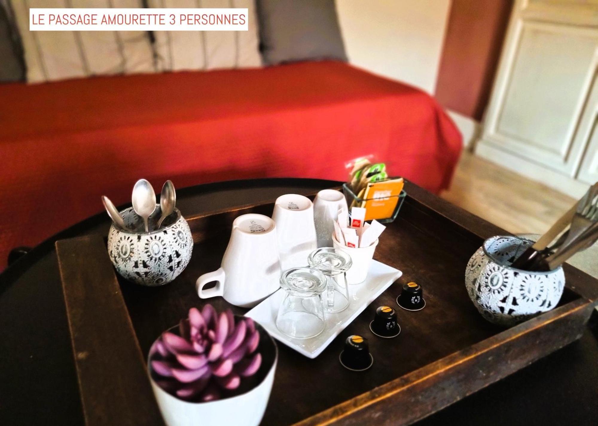 Le Passage Bed & Breakfast Carcassonne Bagian luar foto