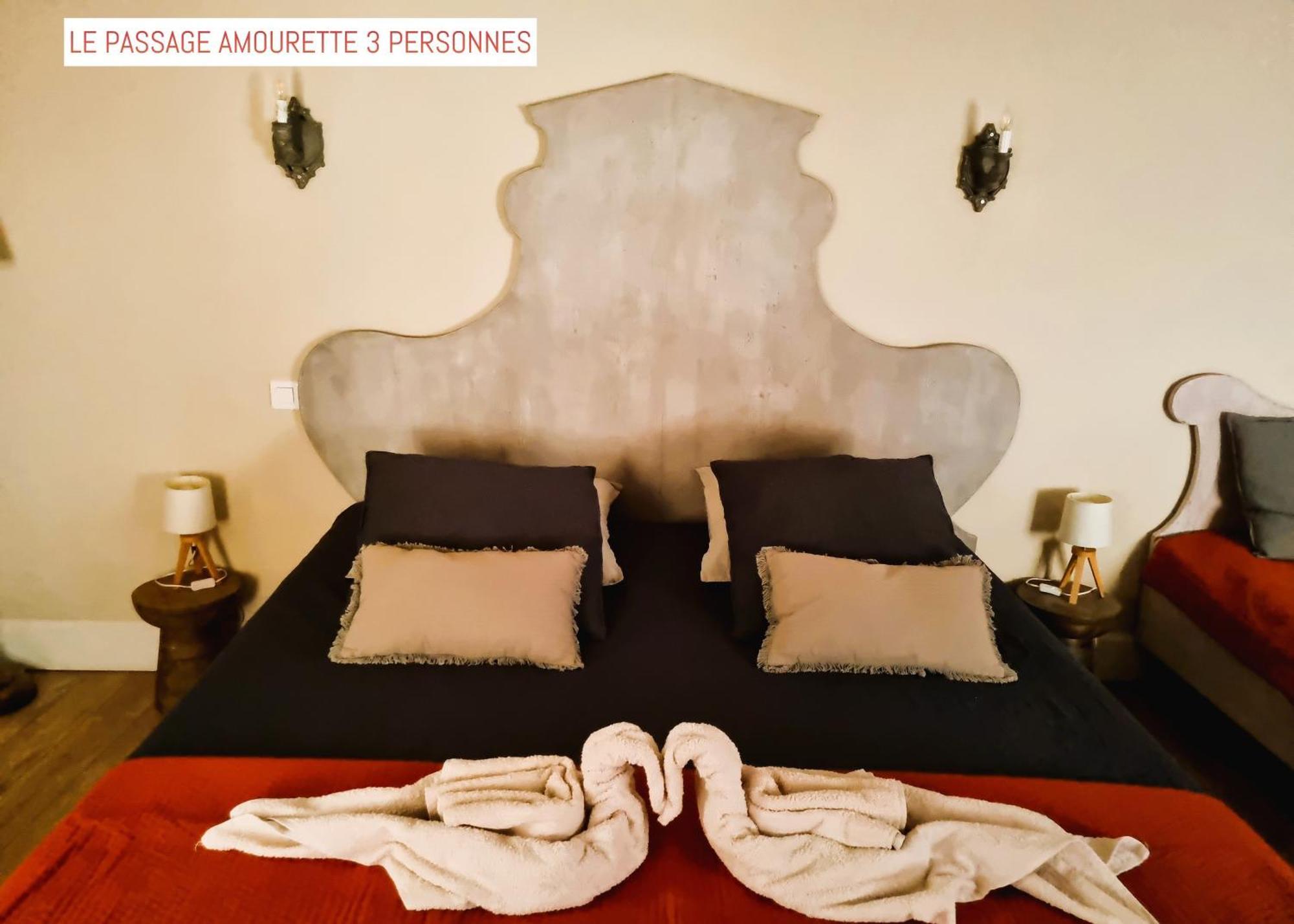Le Passage Bed & Breakfast Carcassonne Bagian luar foto