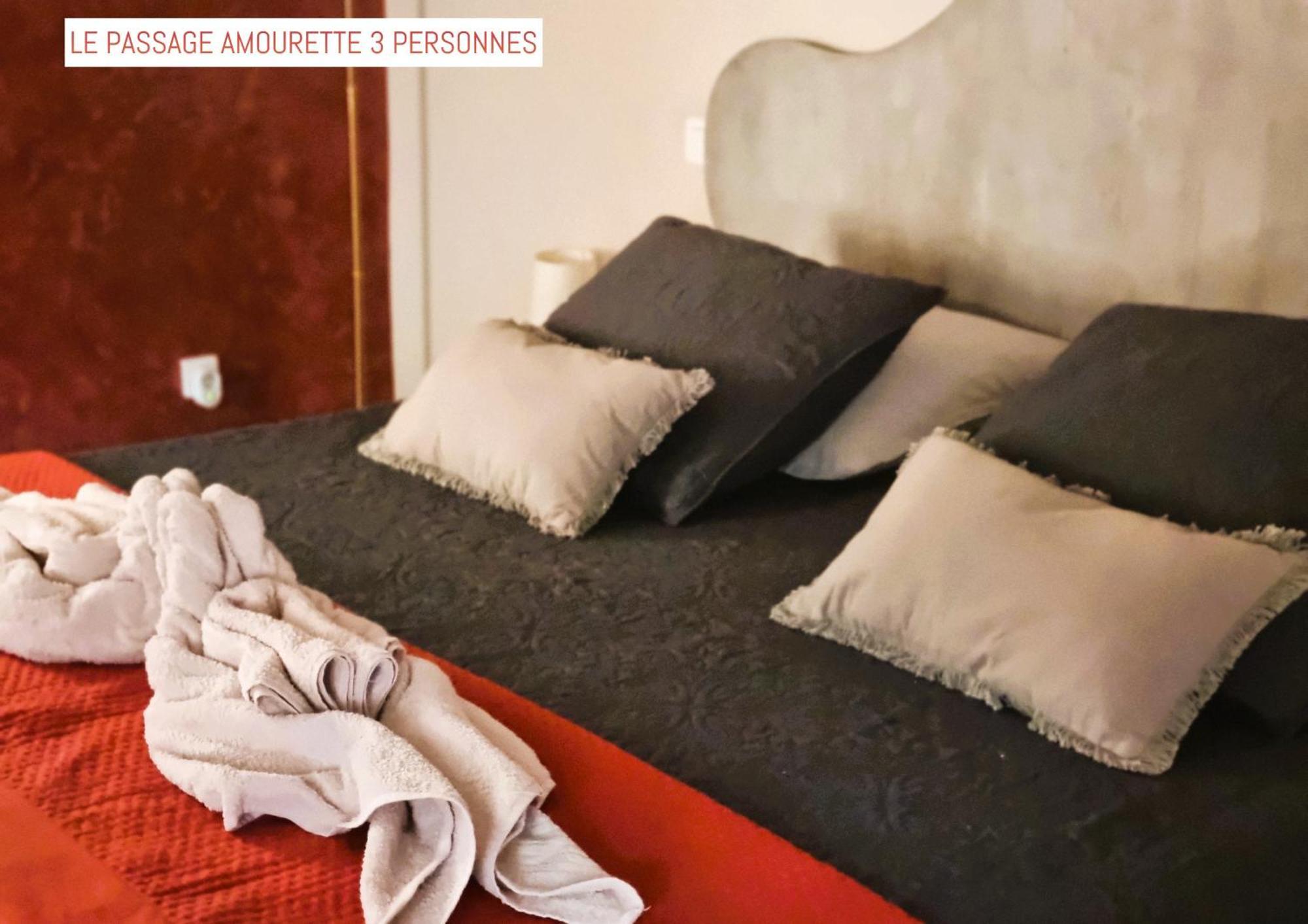Le Passage Bed & Breakfast Carcassonne Bagian luar foto